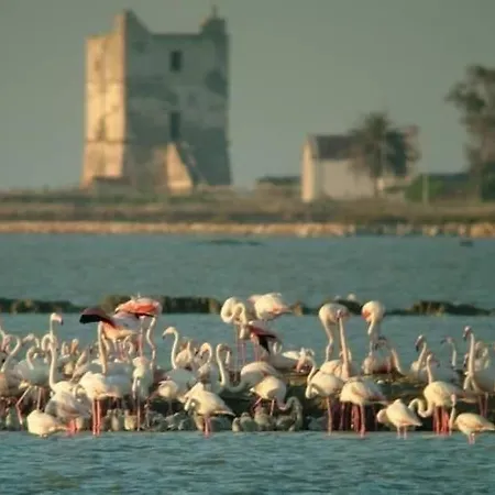 Bianco Pugliese 3* 트리니타폴리