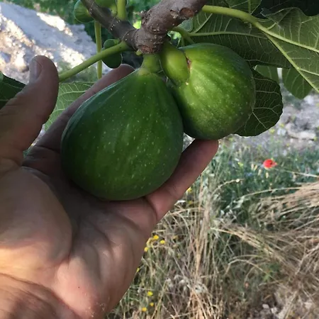 Bianco Pugliese 3*